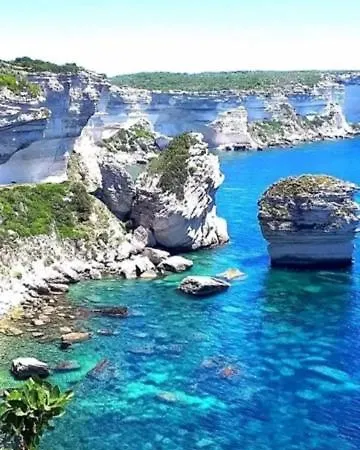 Apartment Spacieux T3 Proche Port De Porto Vecchio *