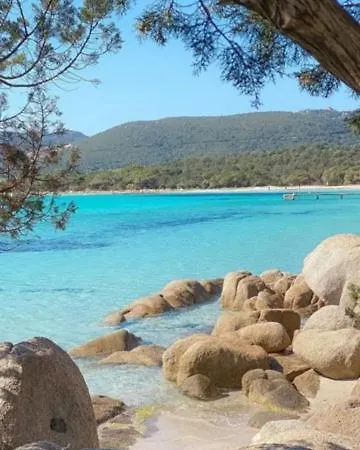 Spacieux T3 Proche Port De Porto Vecchio * Porto-Vecchio (Corsica)